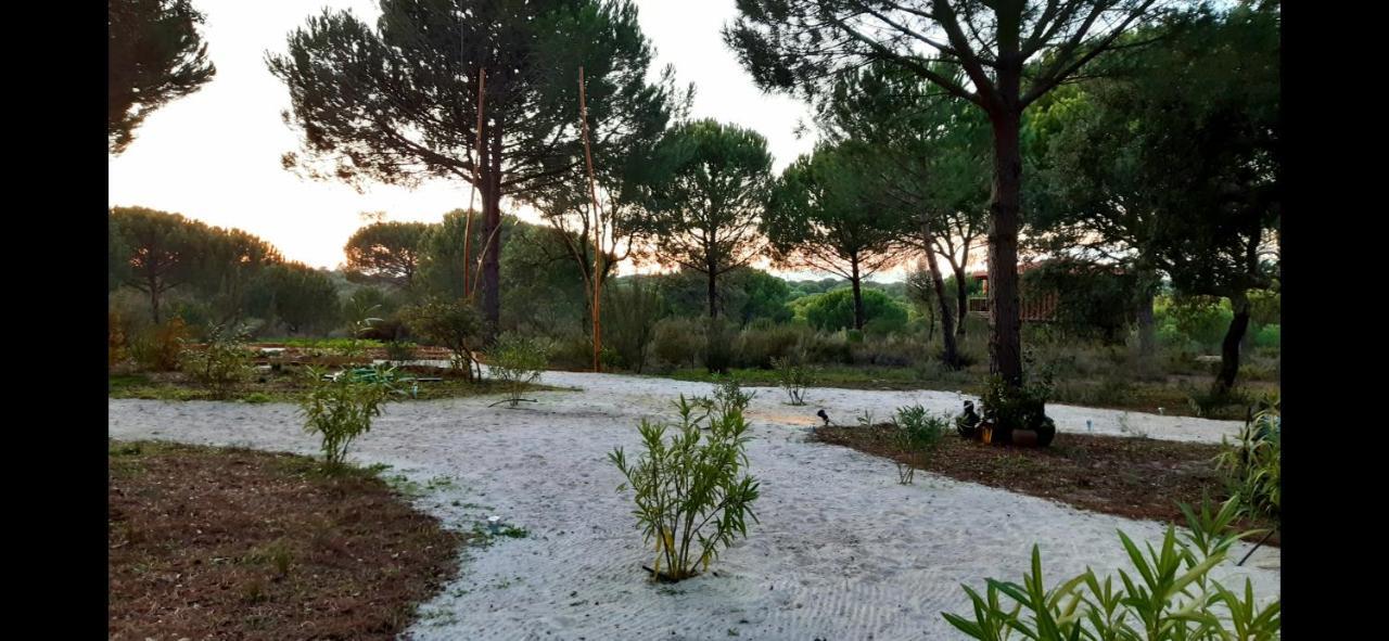 Ying Yang Monte Da Lua Villa Comporta Exterior photo